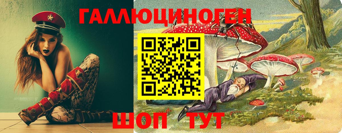 Псилоцибиновые грибы Psilocybe  Вход с VPN  Ноябрьск 